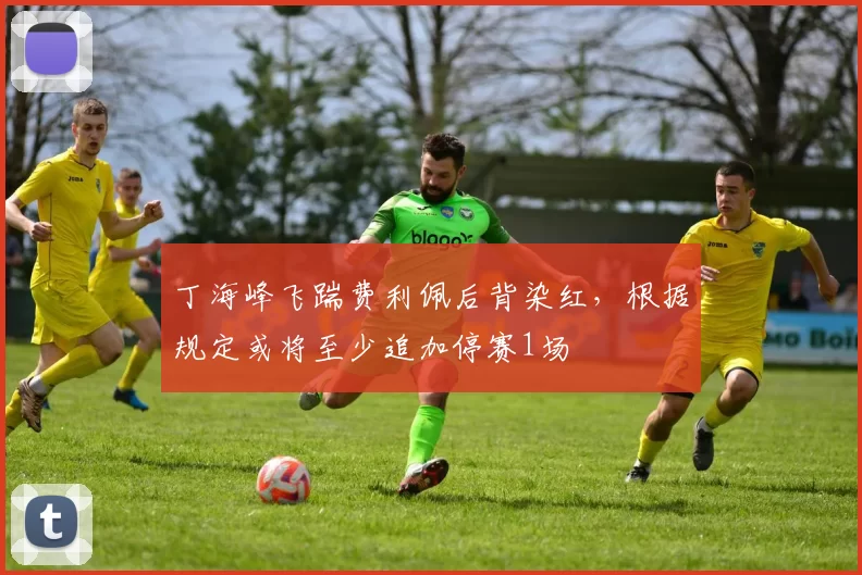 丁海峰飞踹费利佩后背染红，根据规定或将至少追加停赛1场